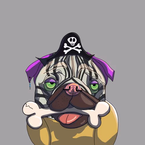 Canico Jack