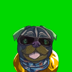 Top Dog #6474