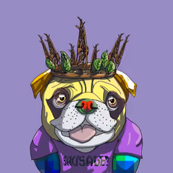 Groot
