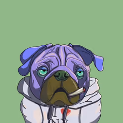 Senor Baxter Reynolds
