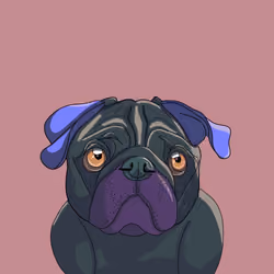 Top Dog #2143