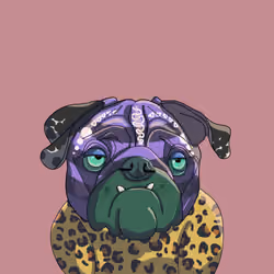 Top Dog #91