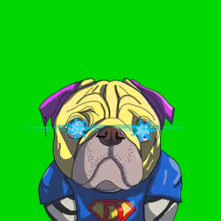Top Dog #6357