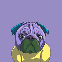 Top Dog #613