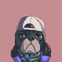 Top Dog #2065