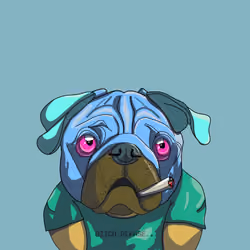 Top Dog #5772