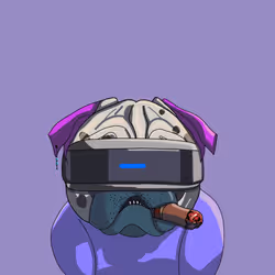 DogaX