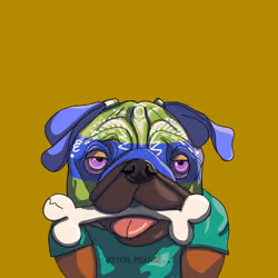 Ninja Leo