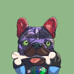 Top Dog #7768