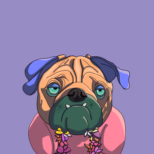 Kona