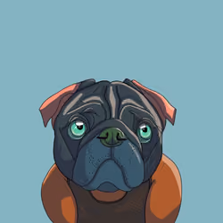 Junior