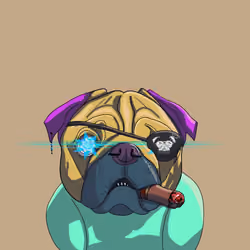 Top Dog #1231