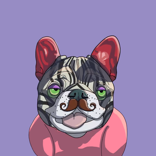 Ringo Snarl
