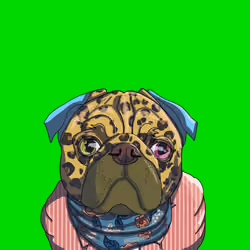 Top Dog #37
