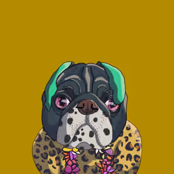 Top Dog #2848