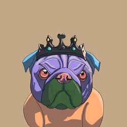 Top Dog #3995