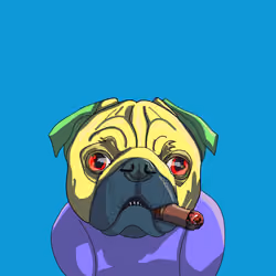Top Dog #6777