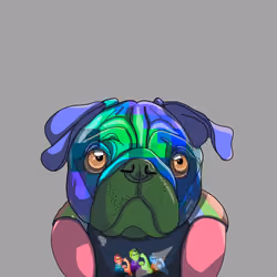 Disco