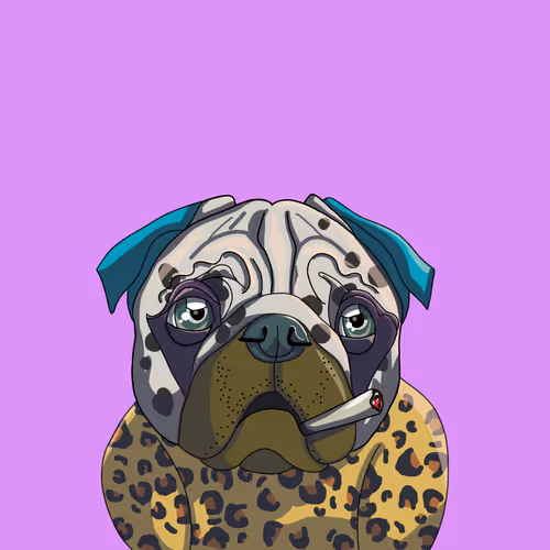 Chico