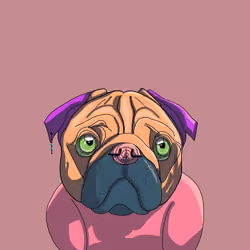 Top Dog #5125