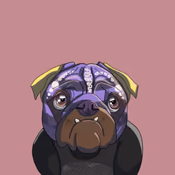 Top Dog #3156