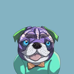 Pawesome Paul