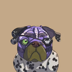 Top Dog #411