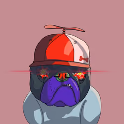 Top Dog #5984
