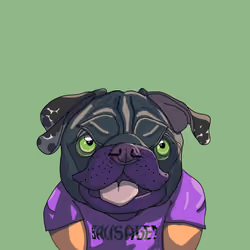 Top Dog #5374