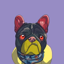 Top Dog #2572
