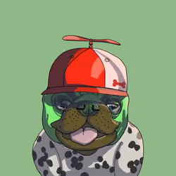 Top Dog #6492
