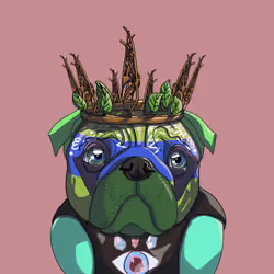 The Oracle
