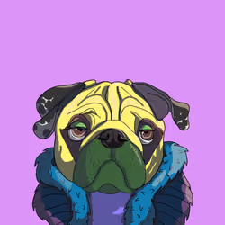 Top Dog #5243