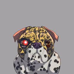 Chewbarka