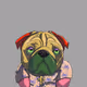 Top Dog #6187