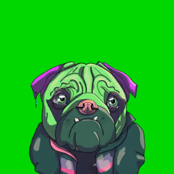Top Dog #5858