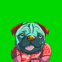 Top Dog #2232