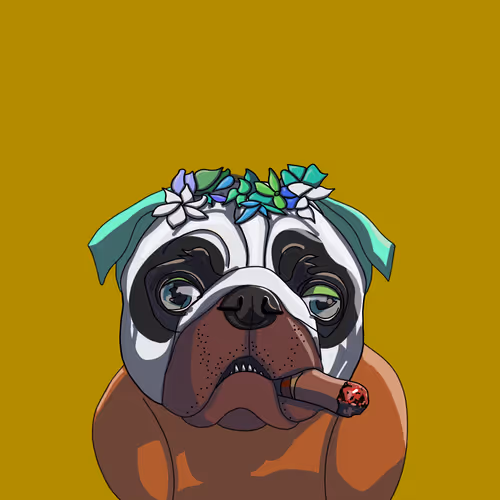 Topdogbeachclub