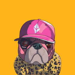 Top Dog #233