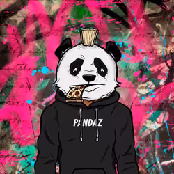 Phat Pandaz #895