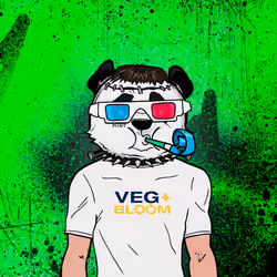 Phat Pandaz #493