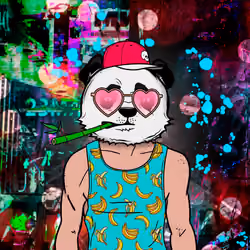 Phat Pandaz #984
