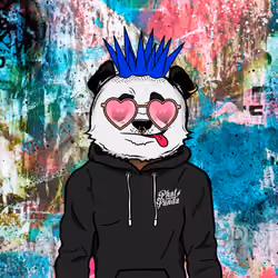 Phat Pandaz #569