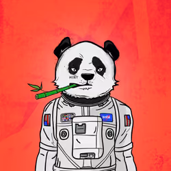 Phat Pandaz #581