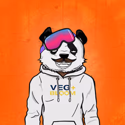 Phat Pandaz #777