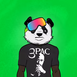 Phat Pandaz #665