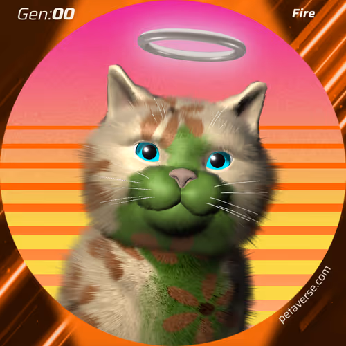 Petaverse