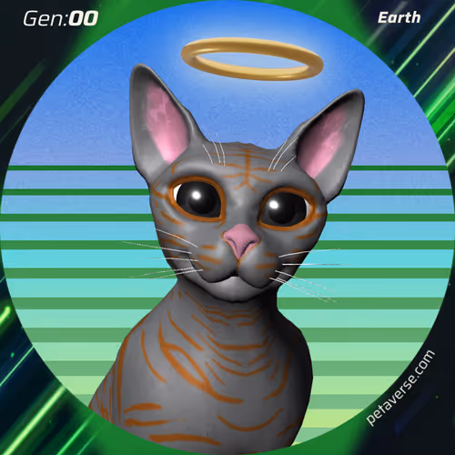 Petaverse