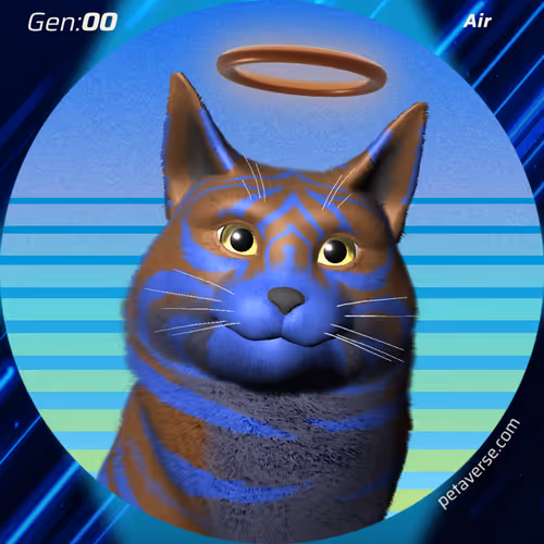 Petaverse