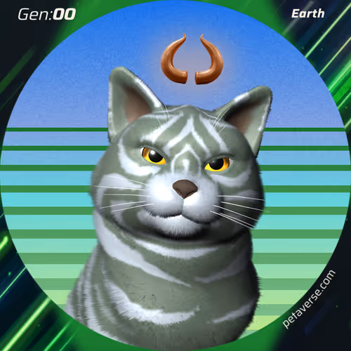 Petaverse